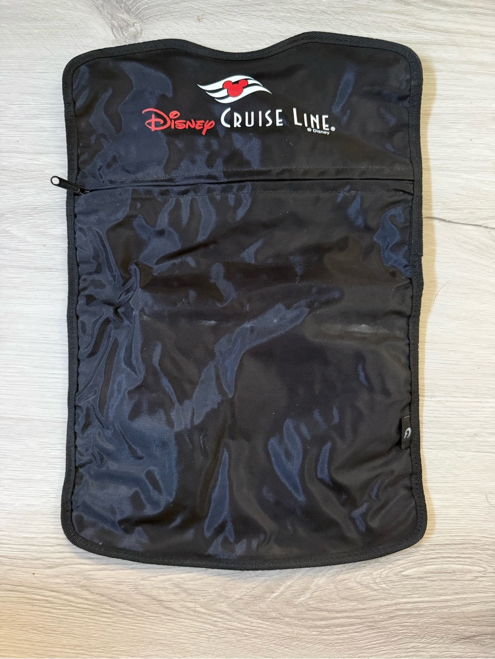 Disney Cruise Line fold-up water-resistant picnic beach blanket bag